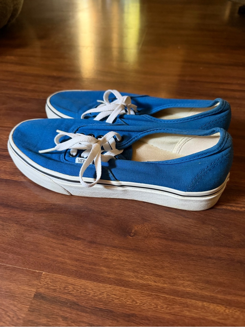 Vans Royal Blue Canvas Low-Top Sneakers